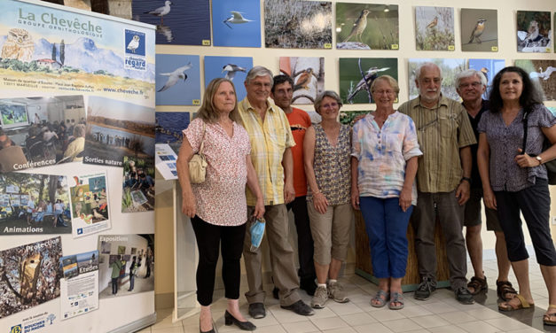 Une exposition au Scamandre sur les oiseaux en danger