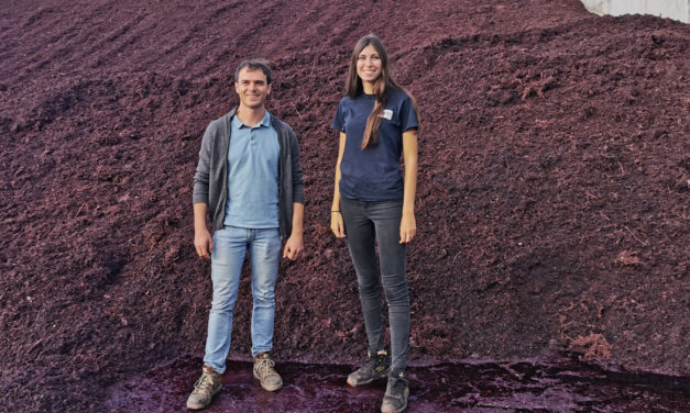 La distillerie UDM de Vauvert recycle les résidus de marc et de lie de vin