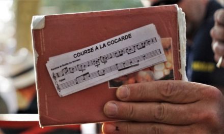 course à la cocarde, sortie et entrée du taureau