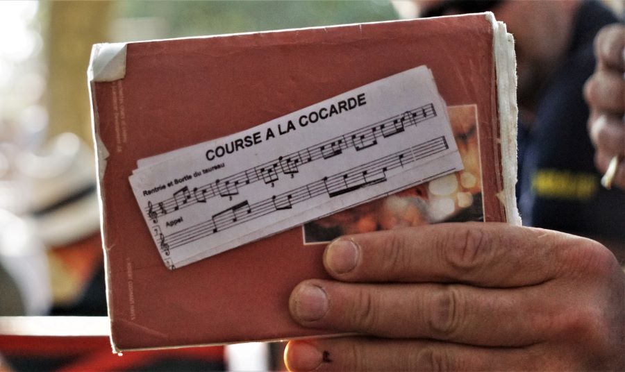 course à la cocarde, sortie et entrée du taureau