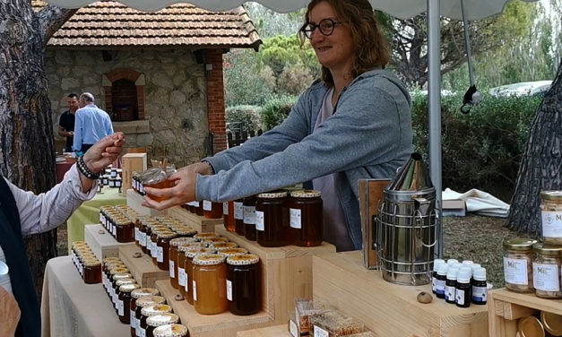 Miel des sables de Camargue avec Anne Vialle