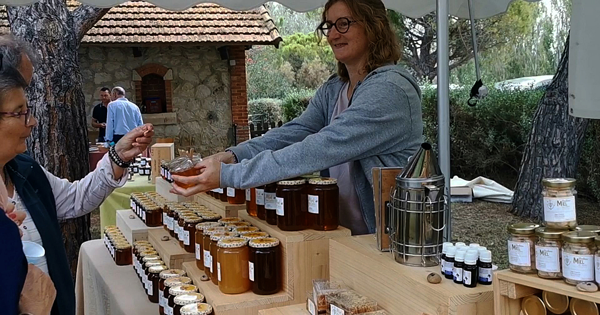 Miel des sables de Camargue avec Anne Vialle