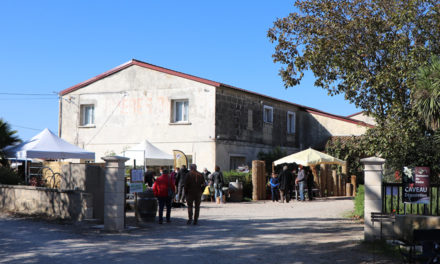 Le domaine du Vistre fête le vin primeur avec la seizième édition du marché de producteurs