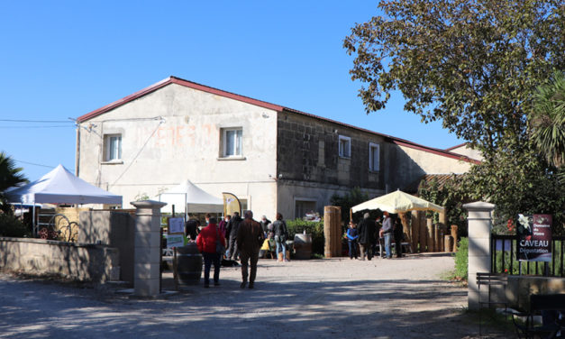 Le domaine du Vistre fête le vin primeur avec la seizième édition du marché de producteurs