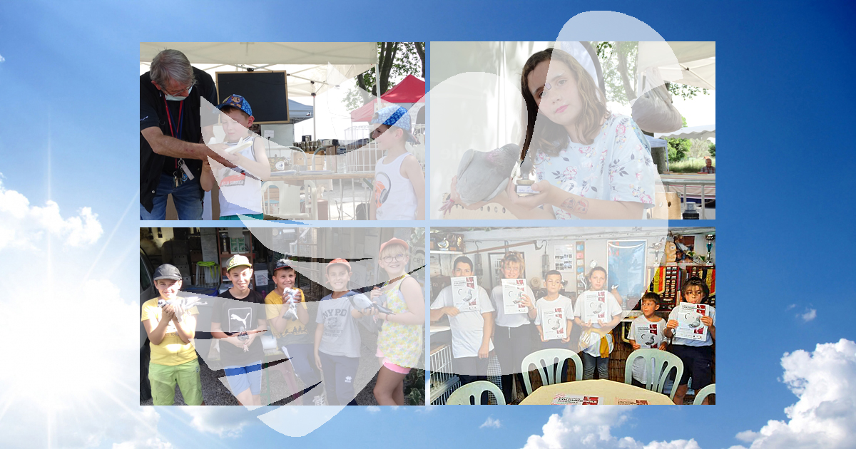 Les ados de l’Entente Colombophile de Camargue préparent leur exposition