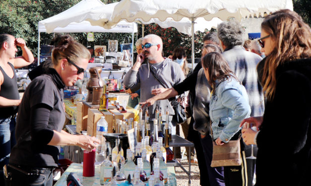 Dégustations et découvertes autour du primeur au domaine du Vistre