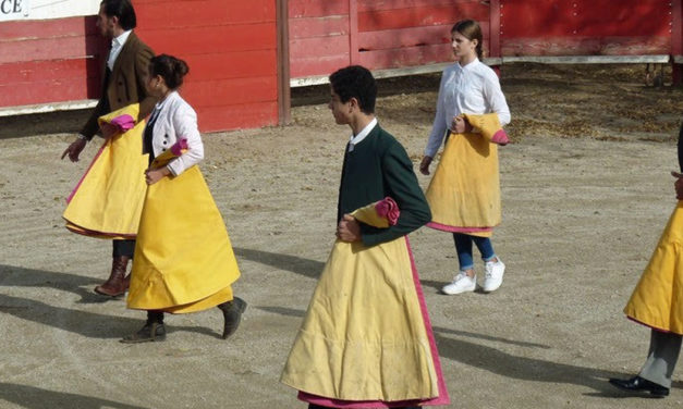 Capea de la Toussaint à Gallician