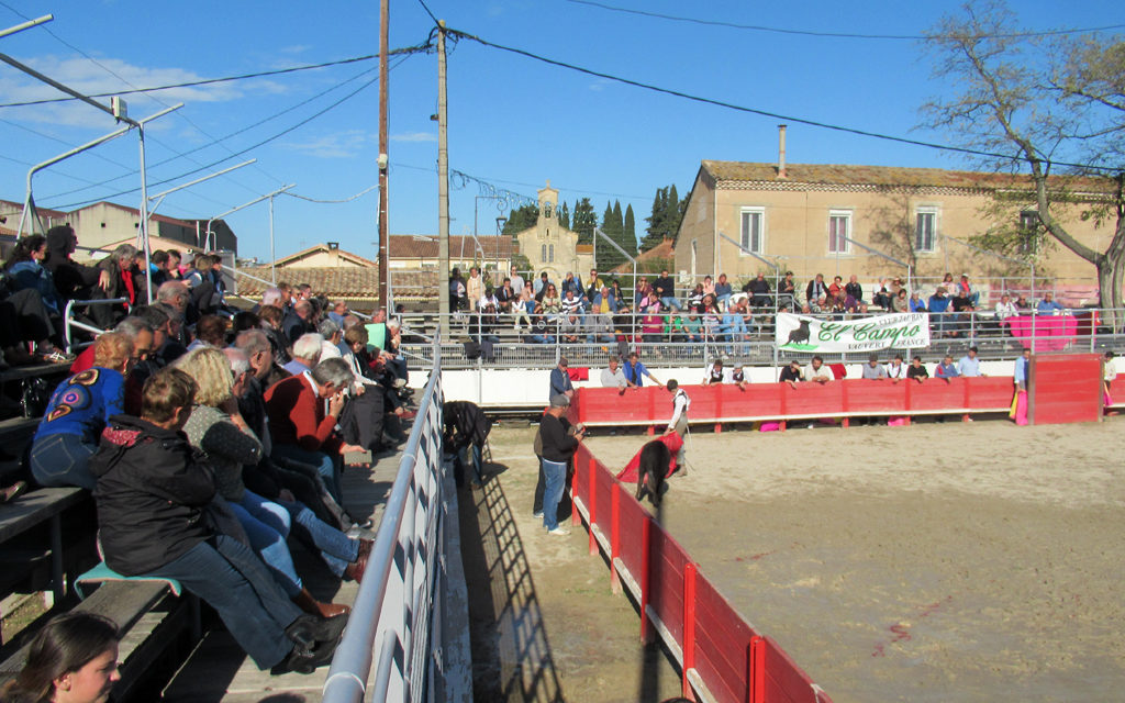 La capea du club taurin El Campo a attiré un nombreux public