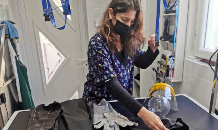 Florianne Lafon, experte en toilettage de chats rebelles