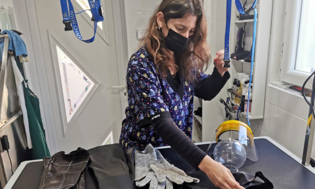 Florianne Lafon, experte en toilettage de chats rebelles