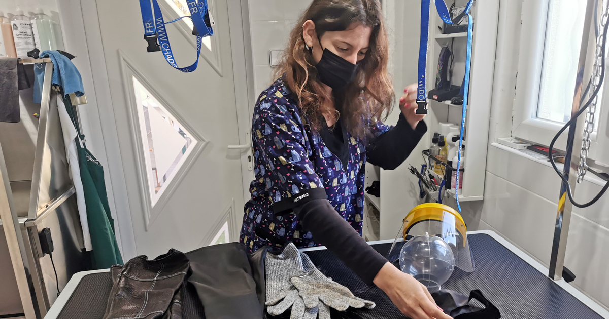 Florianne Lafon, experte en toilettage de chats rebelles