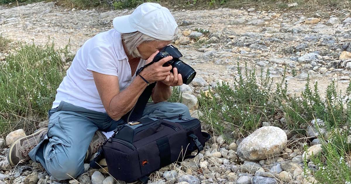 Les papillons et insectes de nos jardins au centre culturel