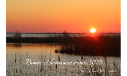 2022 : le nouveau VOIR PLUS arrive !
