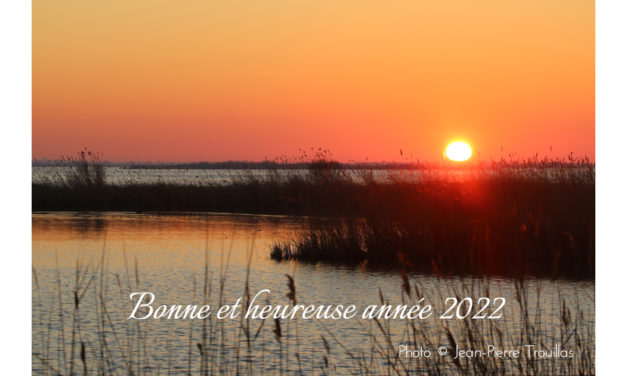 2022 : le nouveau VOIR PLUS arrive !