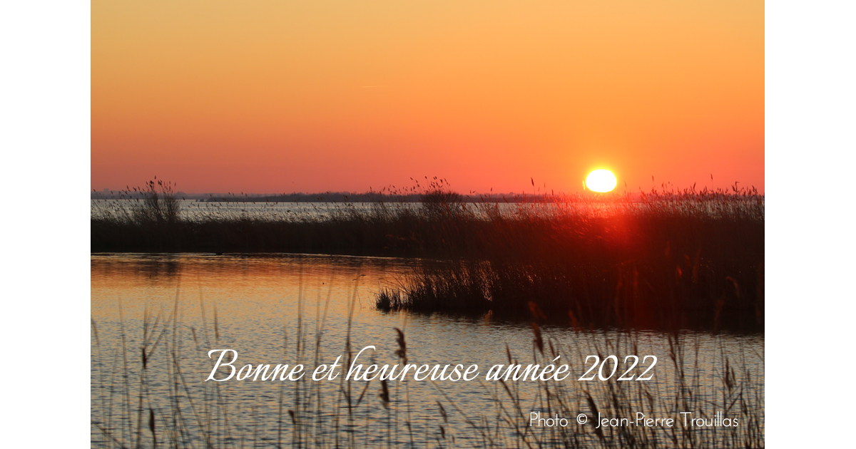 2022 : le nouveau VOIR PLUS arrive !