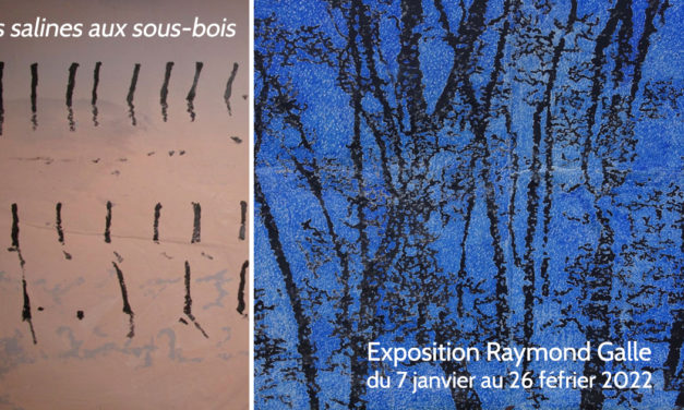 Expo : Des salines aux sous-bois, à la découverte d’une nature authentique