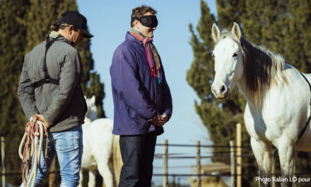 Eiqus, sous le signe de la rencontre