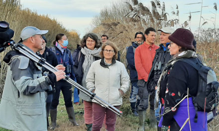 À la découverte des Gargattes
