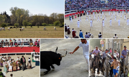 Inscription des traditions taurines à l’Unesco
