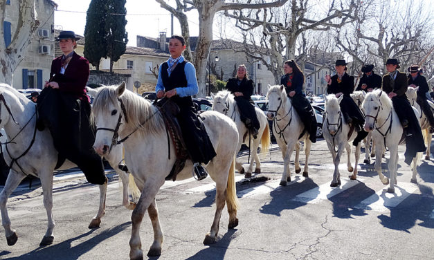 Le monde de la bouvine rassemblé à Aimargues en hommage à Fanfonne Guillierme