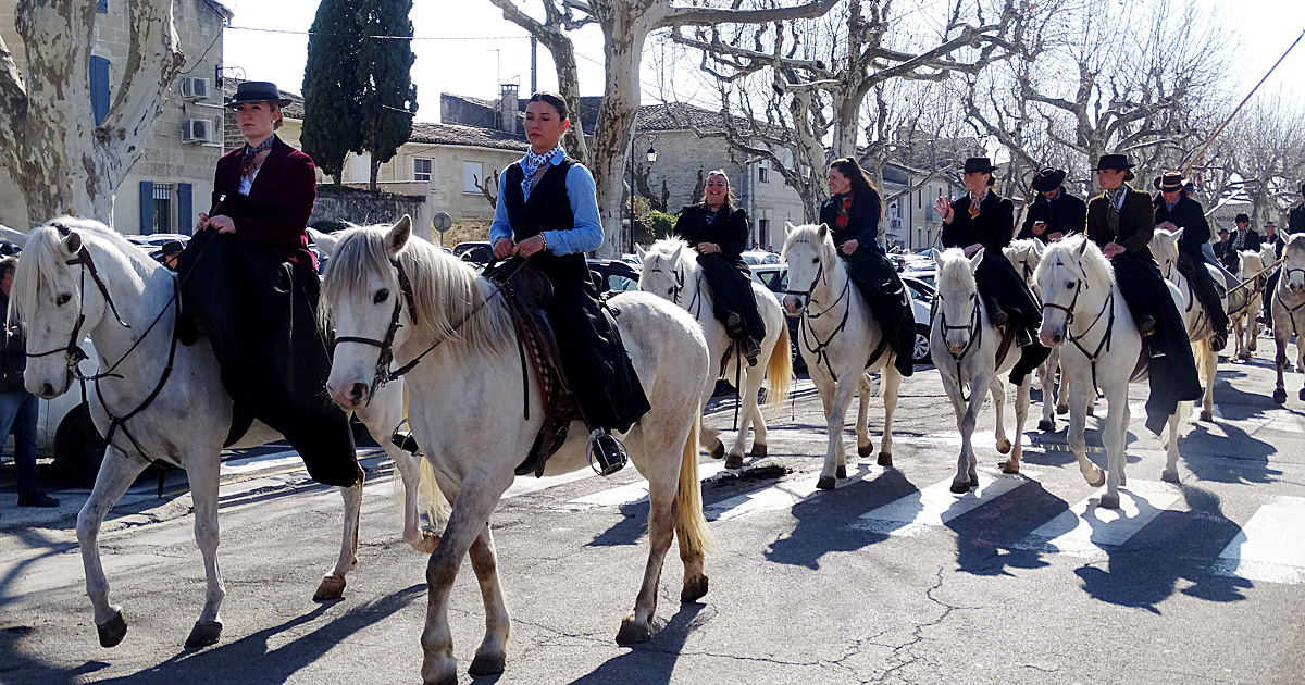 Le monde de la bouvine rassemblé à Aimargues en hommage à Fanfonne Guillierme