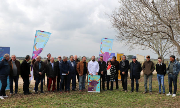 Un Plan de soutien aux traditions camarguaises en Vidourle Camargue