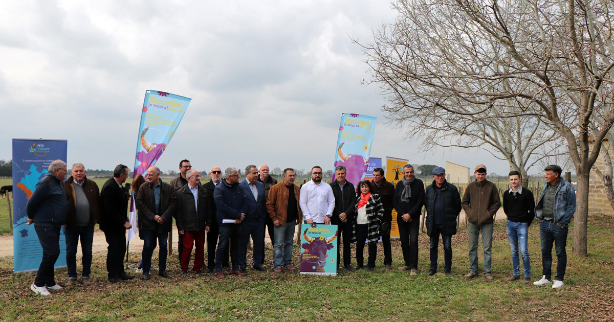 Un Plan de soutien aux traditions camarguaises en Vidourle Camargue