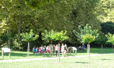 Inédit et original « J’adopte un arbre »