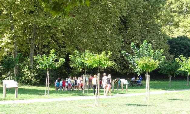 Inédit et original « J’adopte un arbre »