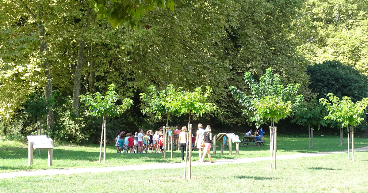 Inédit et original « J’adopte un arbre »