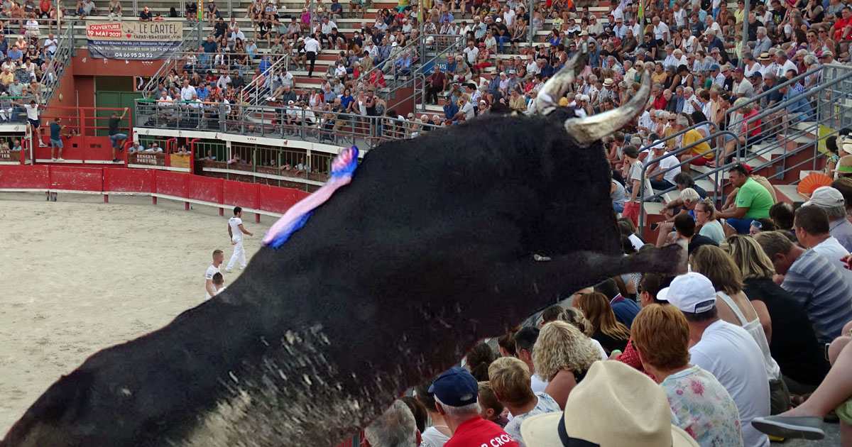 Arènes de Vauvert : 21ème Trophée des Vignerons