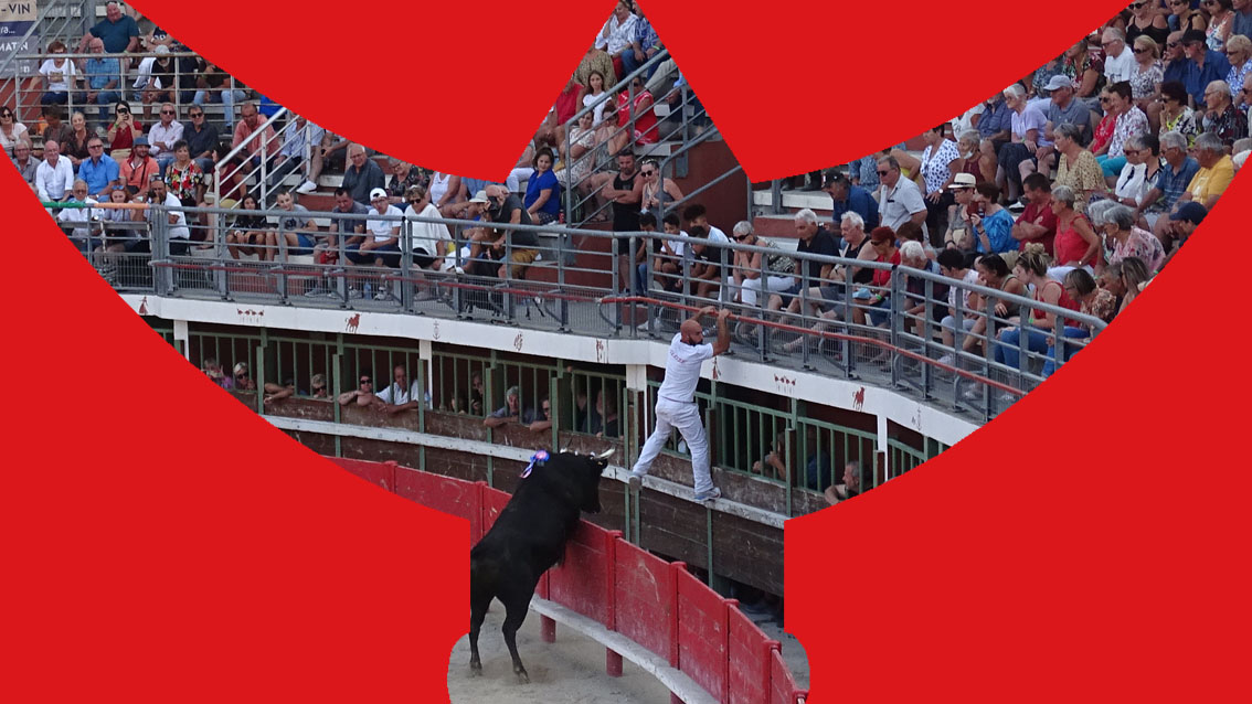 Ce dimanche à Vauvert : Course du Trophée de l’avenir et marché artisanal de Sian d’Aqui