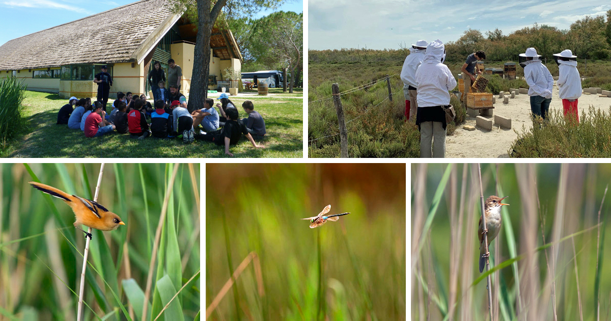 Scamandre : Sorties nature du printemps