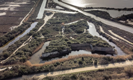Le Fort de Peccais, un trésor du patrimoine de la Petite Camargue à découvrir