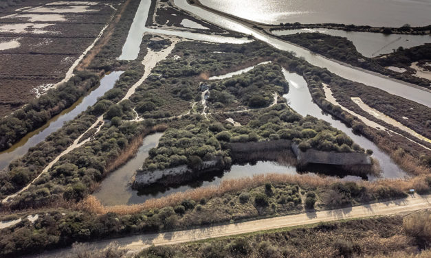 Le Fort de Peccais, un trésor du patrimoine de la Petite Camargue à découvrir