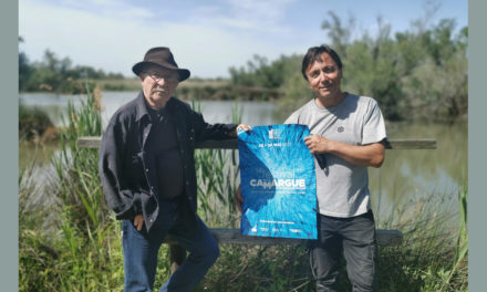 Trois films sur la Camargue pour un réalisateur