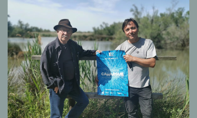 Trois films sur la Camargue pour un réalisateur