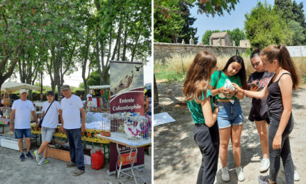 L’Entente colombophile de Camargue bien présente à la journée champêtre du Cailar