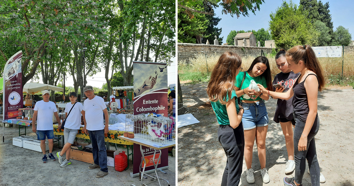 L’Entente colombophile de Camargue bien présente à la journée champêtre du Cailar