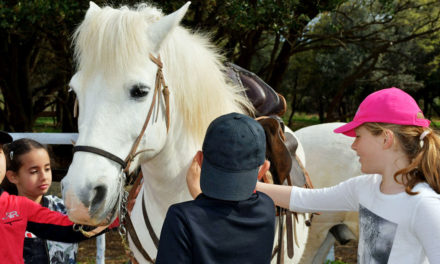 LES PETITS BEAUVOISINOIS PARTENT A LA RENCONTRE DES TRADITIONS ET DE LA CULTURE CAMARGUAISE