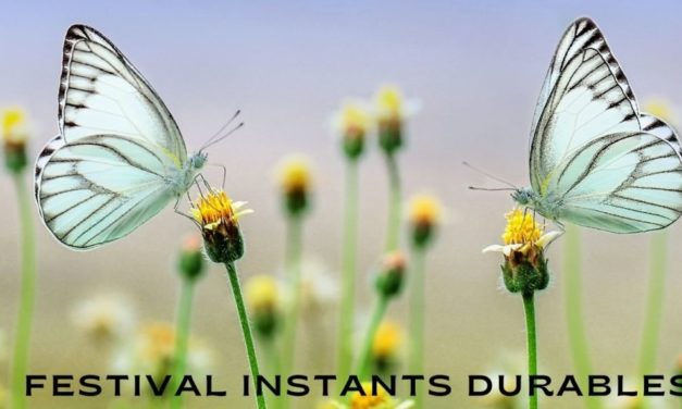 FESTIVAL DES INSTANTS DURABLES A BEAUVOISIN