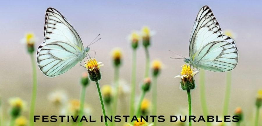 FESTIVAL DES INSTANTS DURABLES A BEAUVOISIN