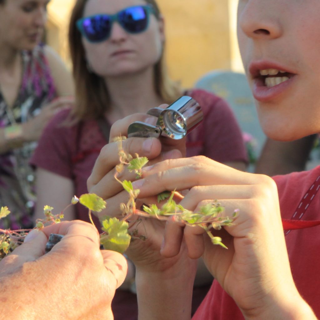 festival Instants Durables