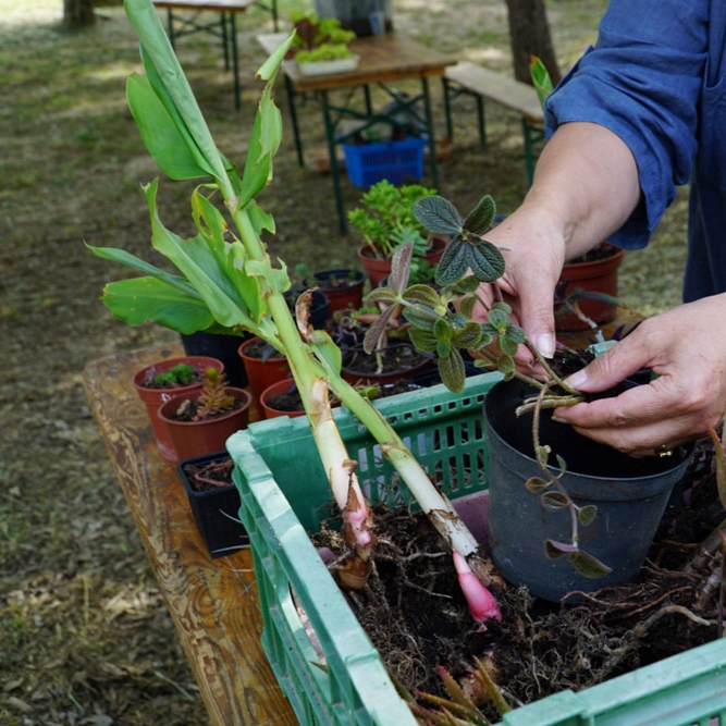 festival Instants Durables