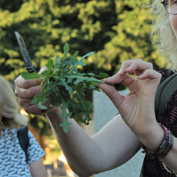 festival Instants Durables