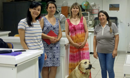 Deux enseignantes européennes accueillies au collège La Vallée Verte