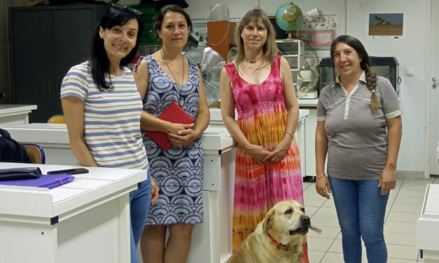 Deux enseignantes européennes accueillies au collège La Vallée Verte
