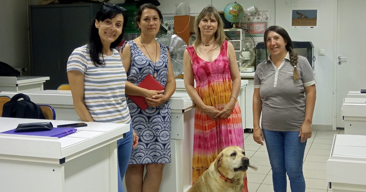 Deux enseignantes européennes accueillies au collège La Vallée Verte
