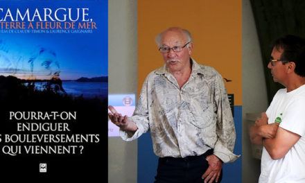 Festival de la Camargue : Des projections de films pour comprendre les enjeux de gestion