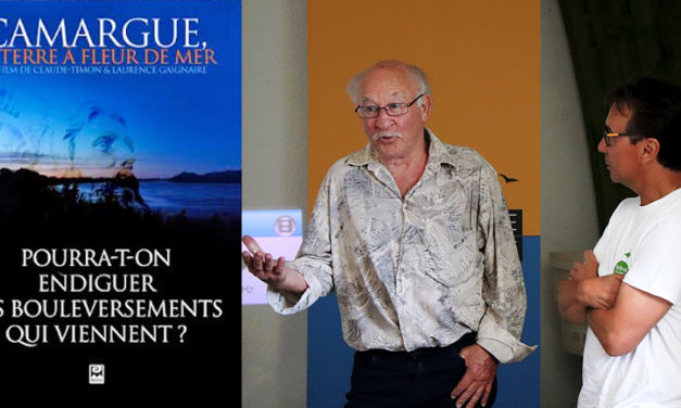 Festival de la Camargue : Des projections de films pour comprendre les enjeux de gestion